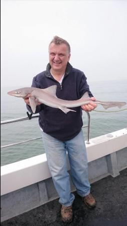 5 lb 8 oz Smooth-hound by Bob Marshall