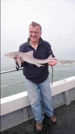 5 lb 8 oz Smooth-hound (Common) by Bob Marshall