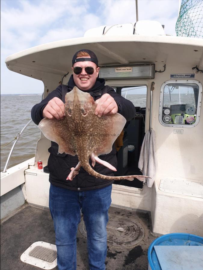 5 lb 4 oz Thornback Ray by Bob Marshall