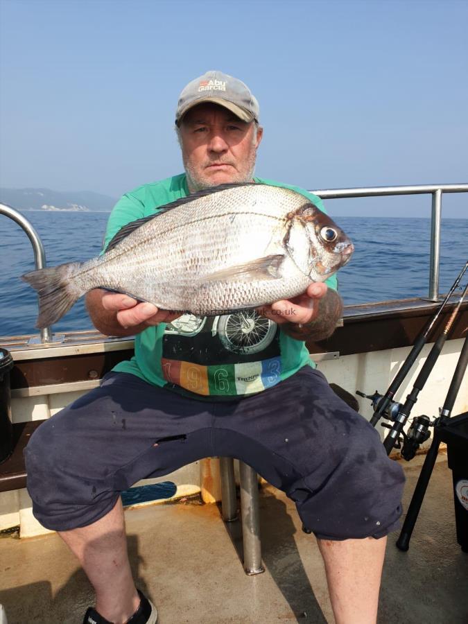 3 lb 11 oz Black Sea Bream by Tim Hulme