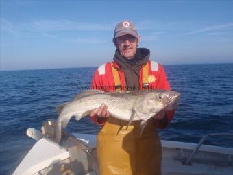 12 lb 2 oz Cod by Mal Greenley from Whitby.