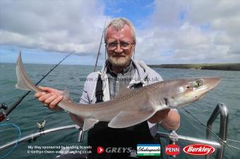 12 lb Starry Smooth-hound by Cormac