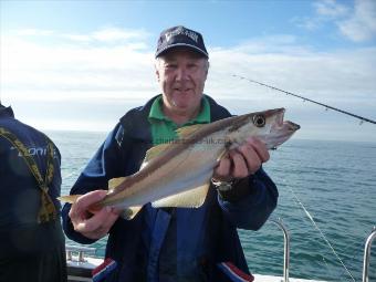 3 lb Pollock by Danny Williamson