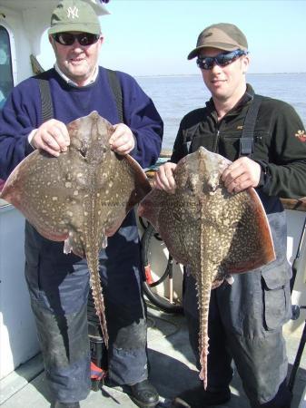 10 lb Thornback Ray by robert and brick