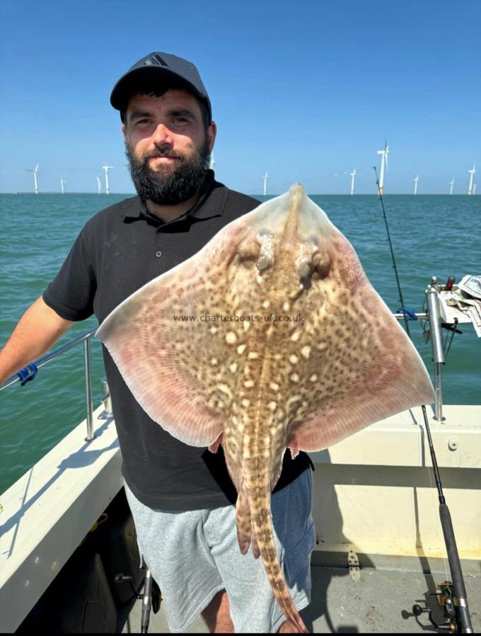 6 lb Thornback Ray by John