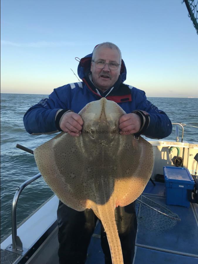 18 lb Blonde Ray by Phil