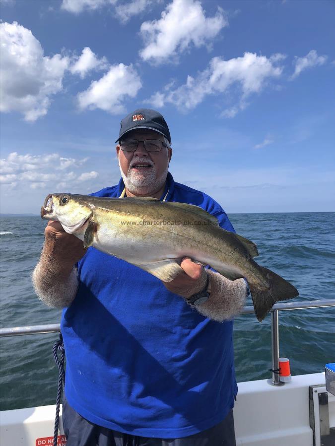 4 lb 4 oz Pollock by Ian Kellock