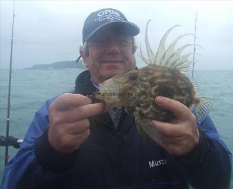 1 lb 4 oz John Dory by Steve Craven