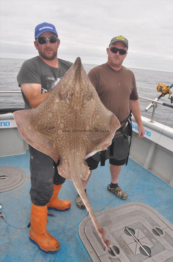 37 lb Blue Skate by Kevin McKie