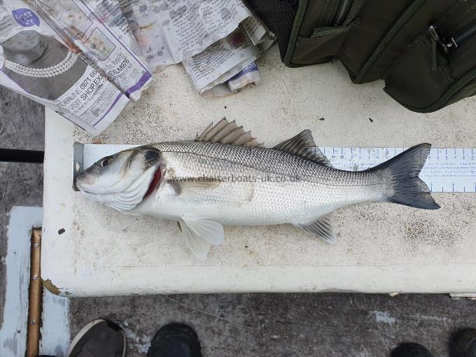 1 lb 5 oz Bass by Unknown