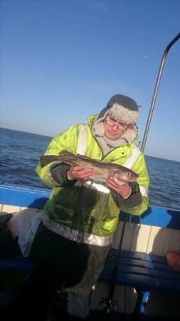 1 lb 8 oz Cod by Unknown