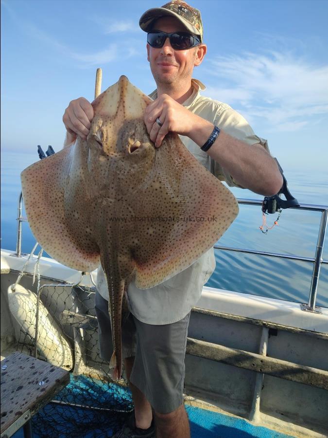 15 lb Blonde Ray by Colin