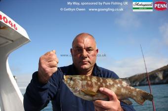 2 lb Ballan Wrasse by Tony