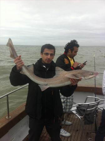 16 lb Starry Smooth-hound by Unknown