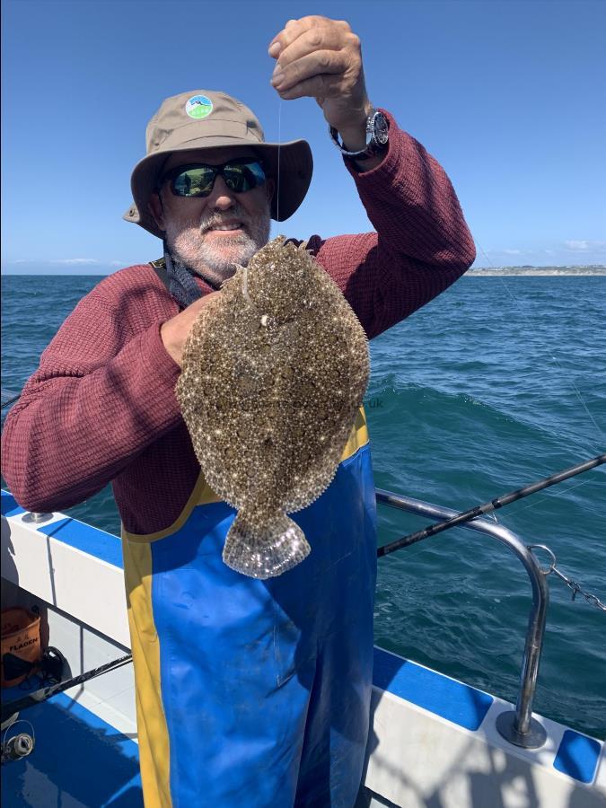 2 lb Brill by Unknown
