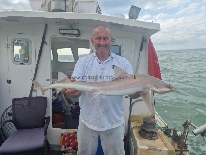 10 lb Starry Smooth-hound by Skipper Jay