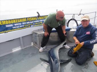 93 lb Blue Shark by Jimi Jones