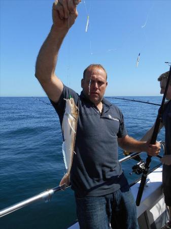 2 lb Grey Gurnard by Gary