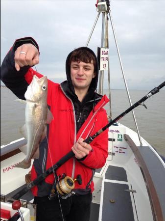 2 lb 6 oz Cod by Unknown