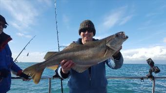 14 lb Pollock by clive