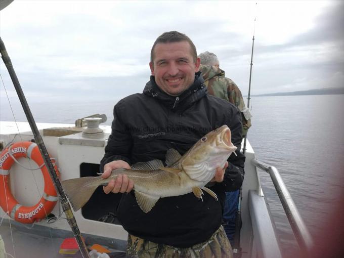 4 lb Cod by Unknown