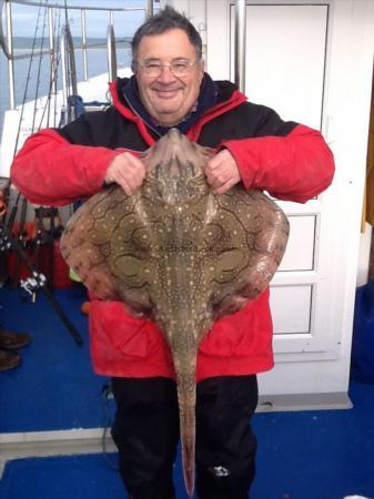 16 lb Undulate Ray by Glenn Knight