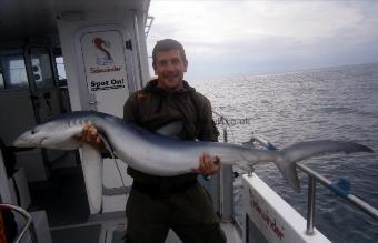 59 lb Blue Shark by Unknown
