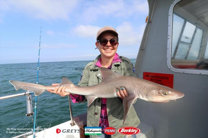 10 lb Starry Smooth-hound by Maya