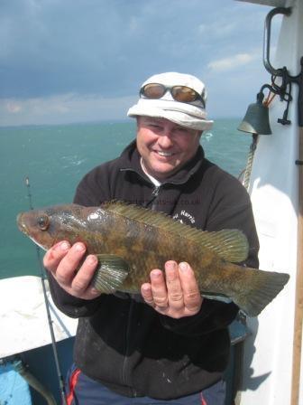 3 lb Ballan Wrasse by Another mate of Clive