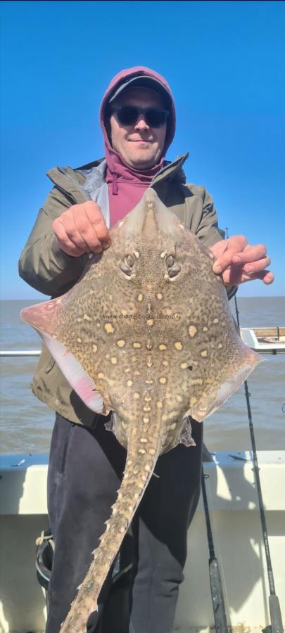 11 lb Thornback Ray by Nick