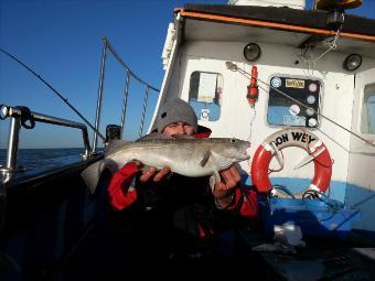 4 lb 8 oz Cod by Dan