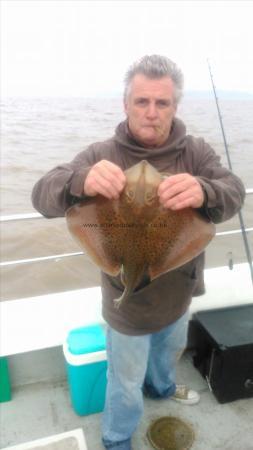 4 lb Spotted Ray by reg