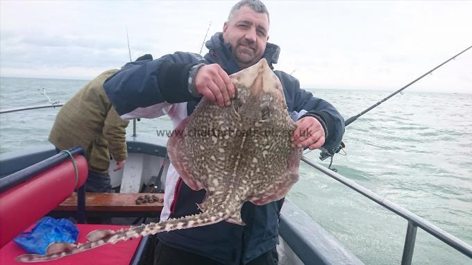 8 lb 1 oz Thornback Ray by Russell Sherwood