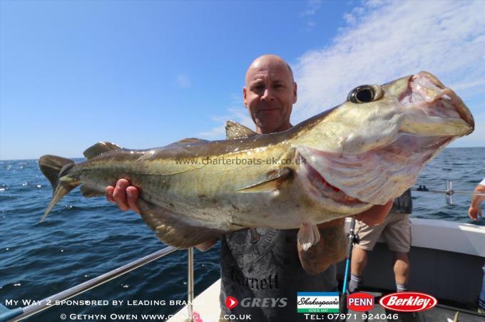 8 lb Pollock by Dave