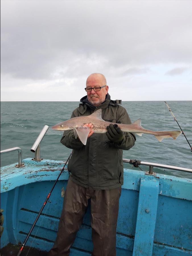 5 lb Smooth-hound by Westgate club