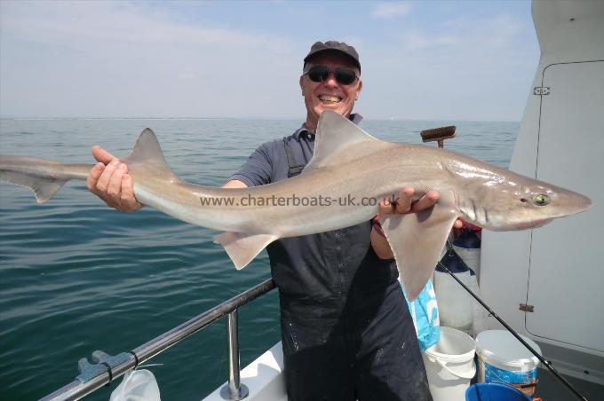 11 lb 3 oz Starry Smooth-hound by Fred Hurd