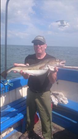 7 lb 8 oz Cod by Tim Clarkson