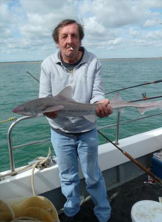 6 lb 4 oz Starry Smooth-hound by Bob Marshall