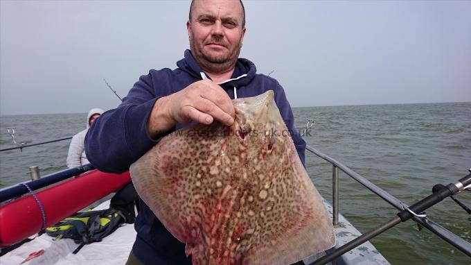 6 lb 5 oz Thornback Ray by Ian from London