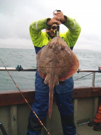 16 lb 4 oz Undulate Ray by mick