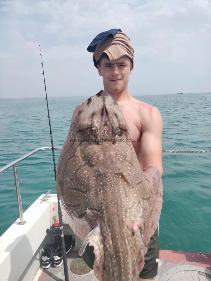 24 lb Undulate Ray by Unknown