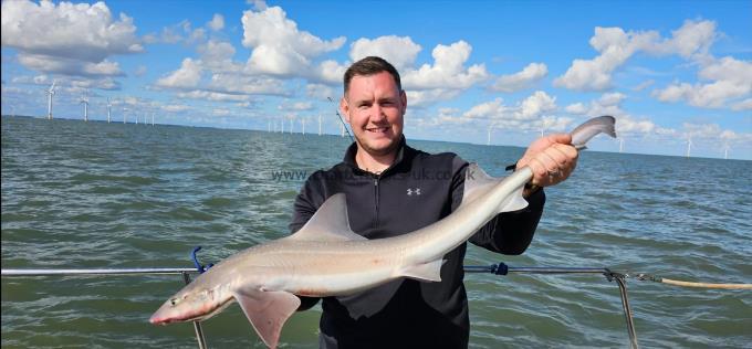 12 lb 2 oz Starry Smooth-hound by Freddy