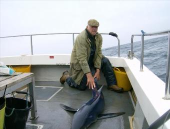 115 lb Blue Shark by skipper