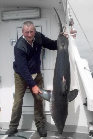 125 lb Porbeagle by Basil Cox