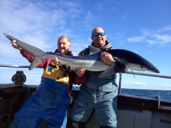 80 lb Blue Shark by Mark East