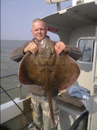 15 lb Blonde Ray by nigel morgan