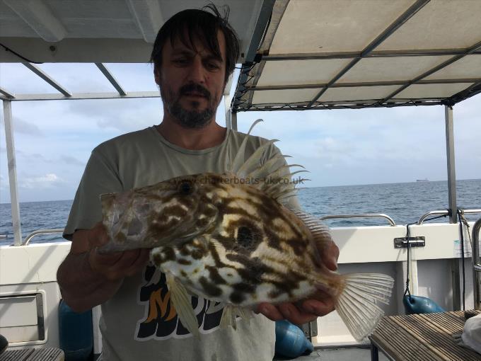 3 lb 2 oz John Dory by Unknown