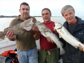 6 lb 9 oz Cod by Dave