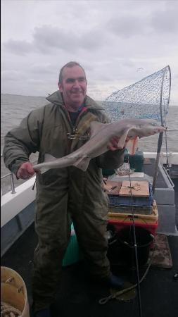 8 lb 12 oz Starry Smooth-hound by Bob Marshall