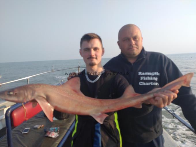 8 lb Starry Smooth-hound by Guy